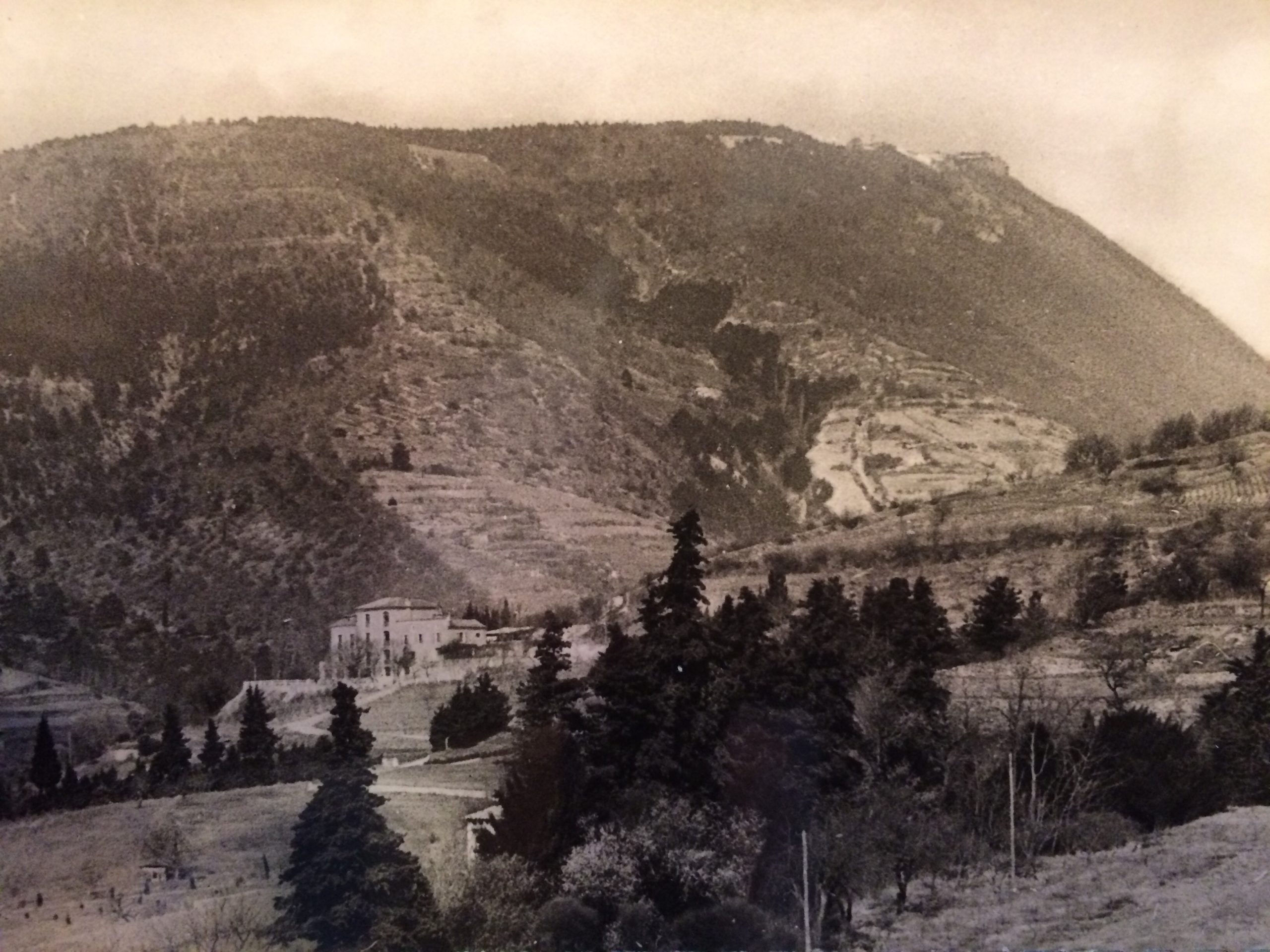 Le patrimoine forestier du bassin-versant du Jabron