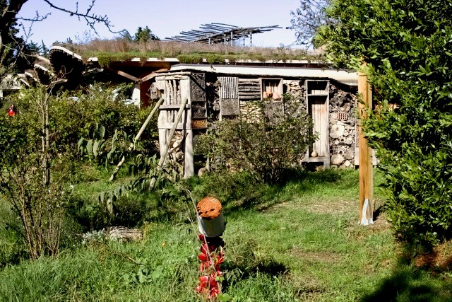 Visite du Naturoptère