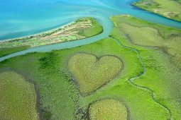 Essai d’explication et de compréhension de la crise en Nouvelle Calédonie