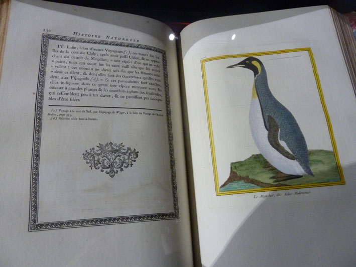 Un des deux exemplaires de l'Histoire naturelle de Buffon.
